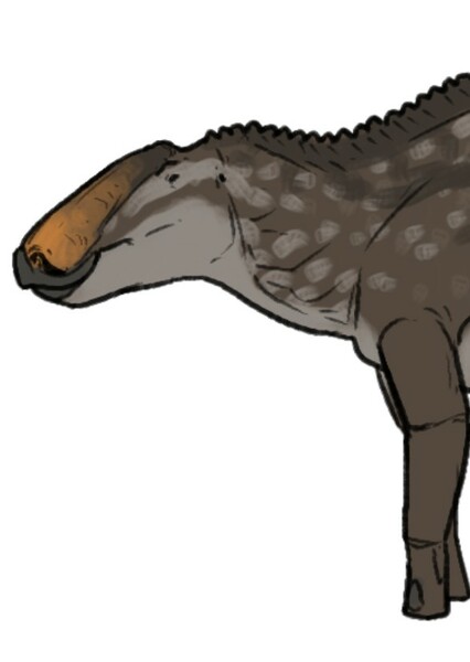 Prosaurolophus photo