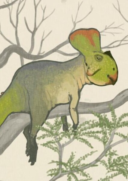 Protoceratops photo