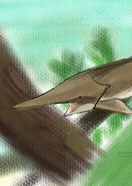 Protopsephurus