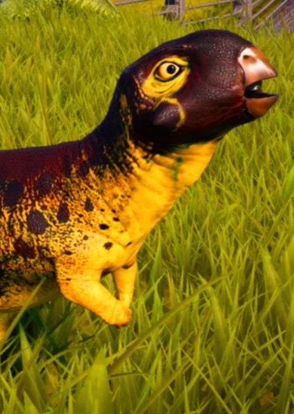 Psittacosaurus photo