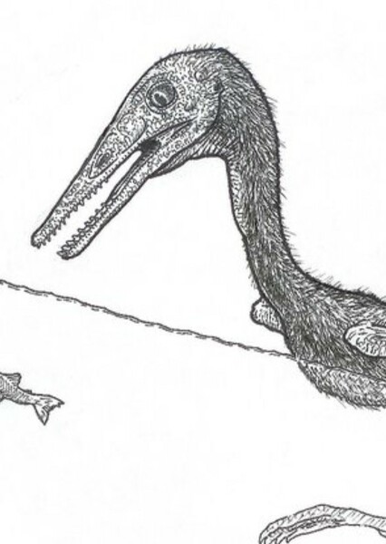Pteraichnus photo