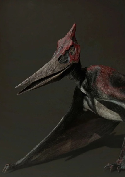 Pteranodon photo