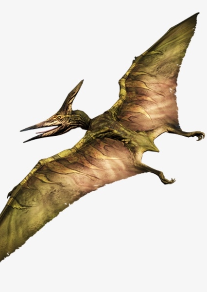 Pteranodon photo