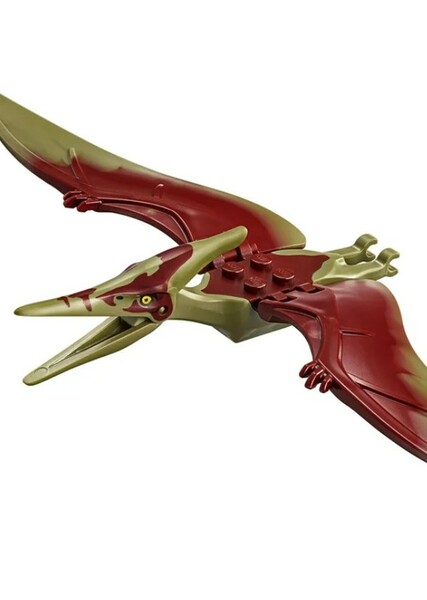 Pteranodon photo