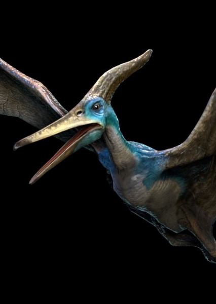 Pteranodon photo