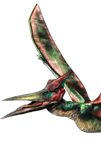Pteranodon photo