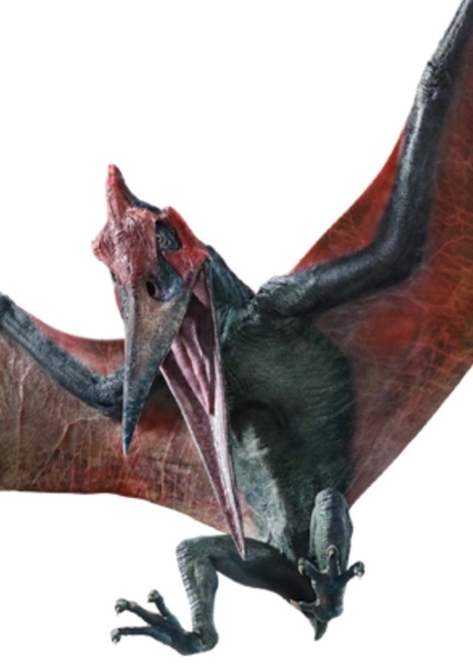 Pteranodon photo