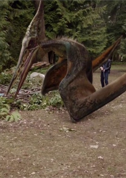 Pteranodon photo