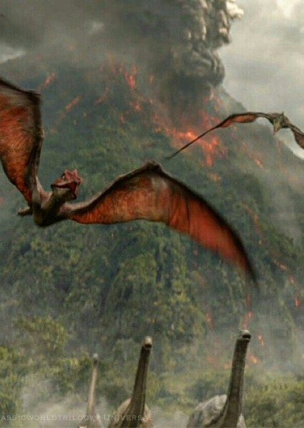 Pteranodon photo