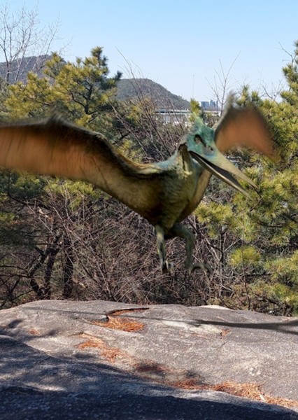 Pteranodon photo