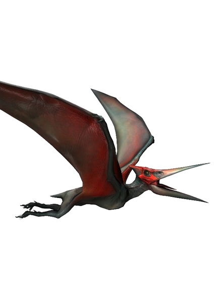 Pteranodon photo