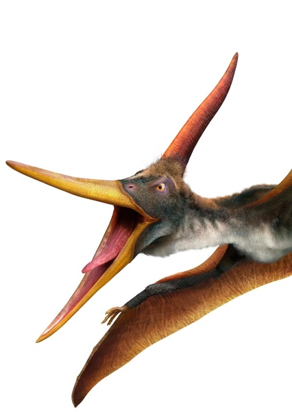 Dinosaurs