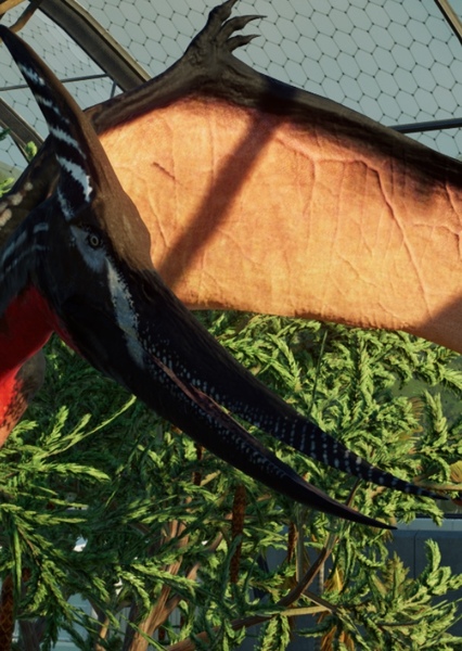 Pteranodon photo