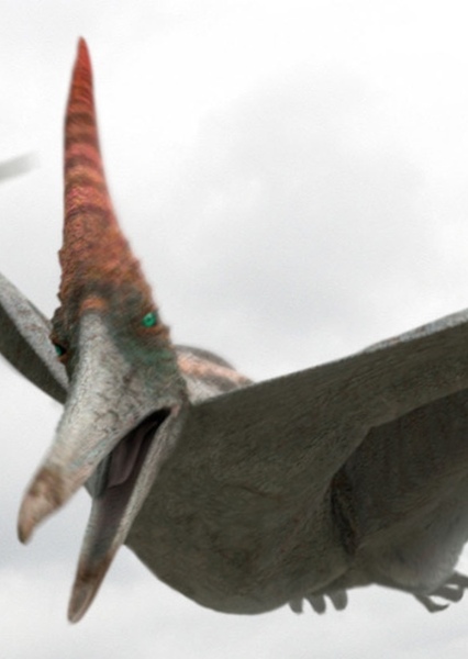 Pteranodon photo