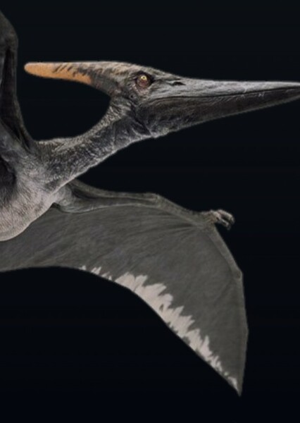 PteranodonZord