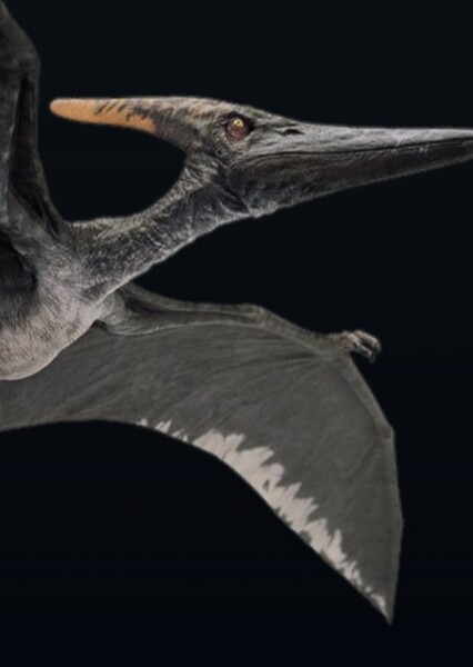 Pteranodonzord