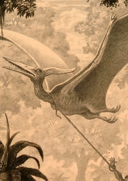 Pterodactyl photo