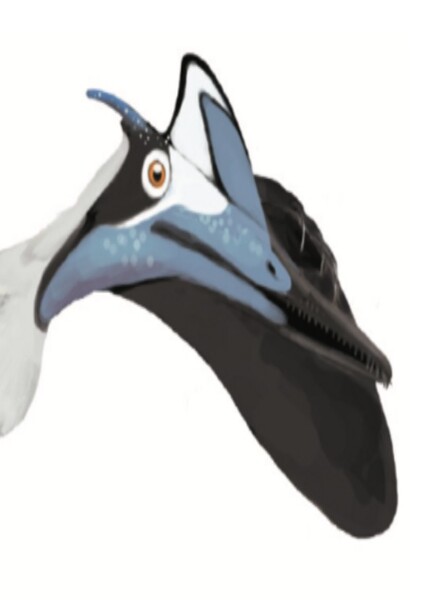 Pterodactylus photo