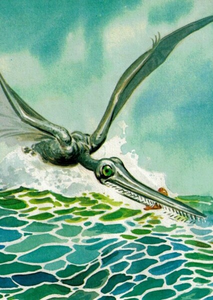 Pterodactylus photo