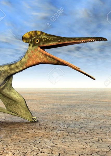 Pterodactylus photo