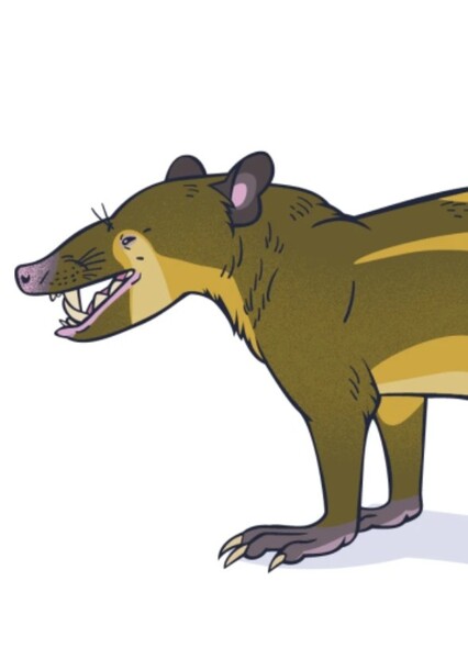 Ptolemaia