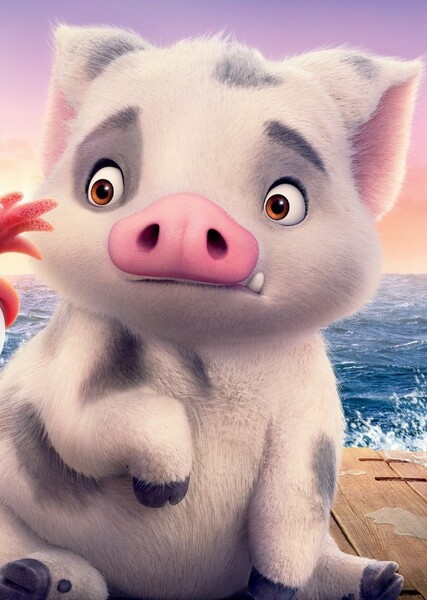 Pua photo
