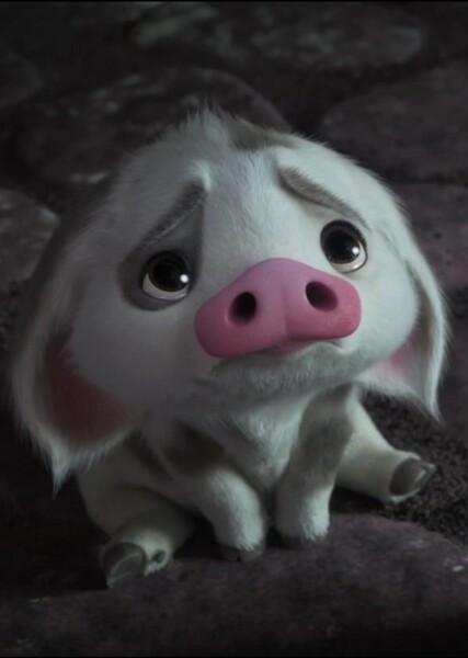 Pua photo