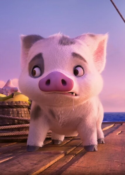Pua photo