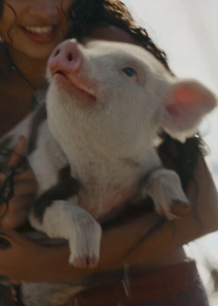 Pua (Moana 2026)