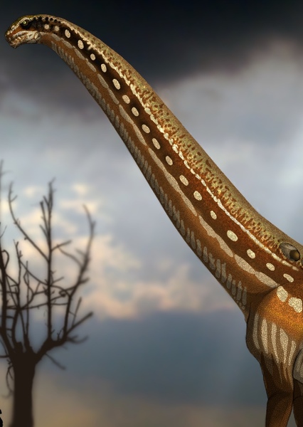 Puertasaurus photo
