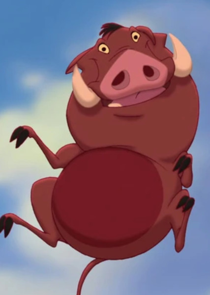 Pumbaa photo