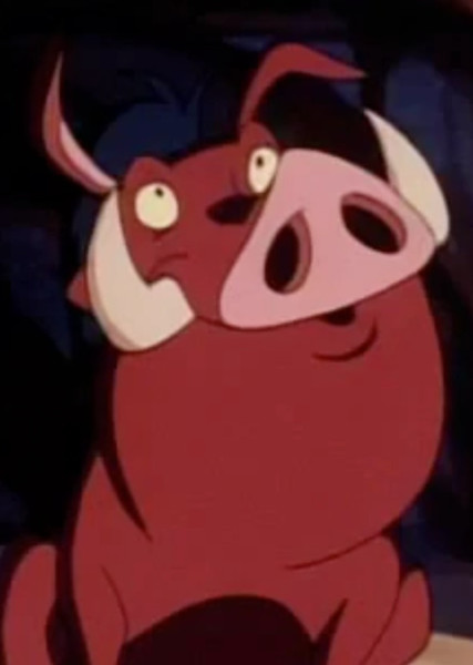 Pumbaa photo