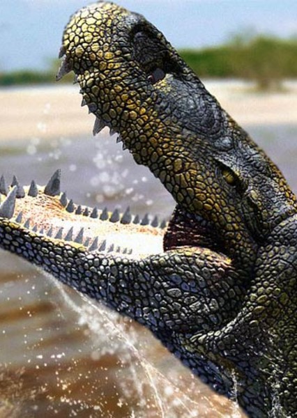 Purussaurus