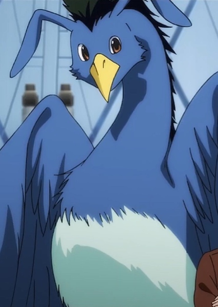 Puu photo