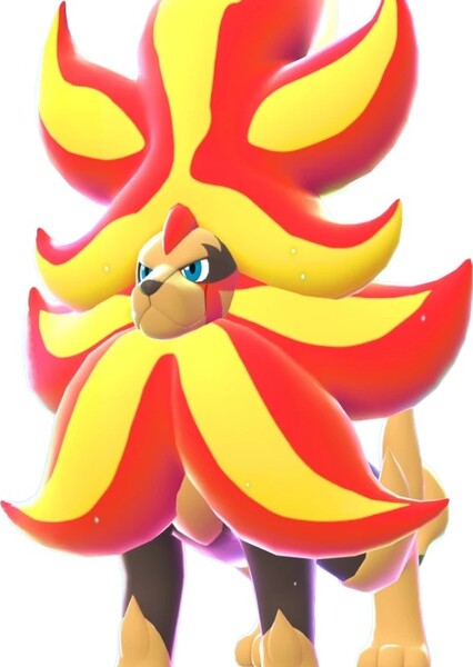 Pyroar photo