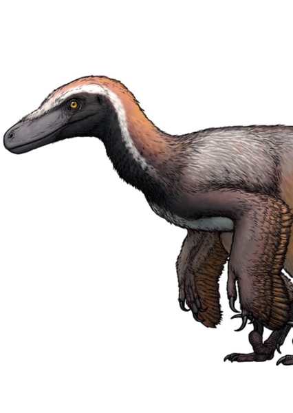 Pyroraptor photo