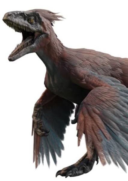 Pyroraptor photo