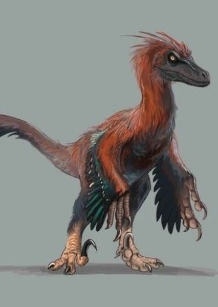 Pyroraptor photo