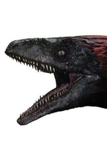 Pyroraptor photo