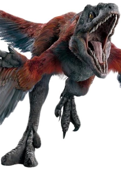 Pyroraptor photo