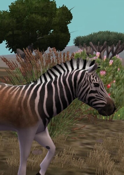 Quagga