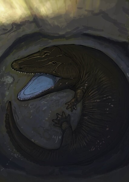 Quasicyclotosaurus