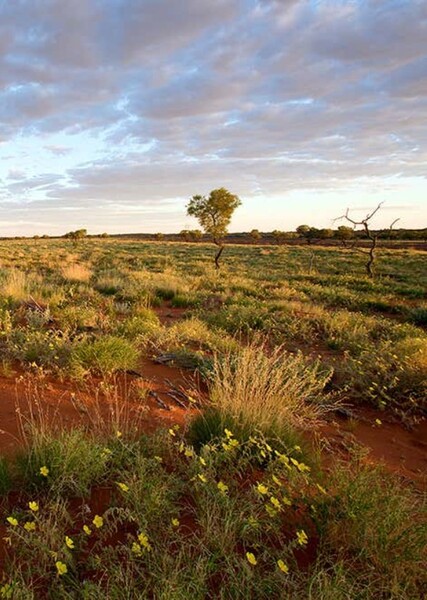 Queensland photo