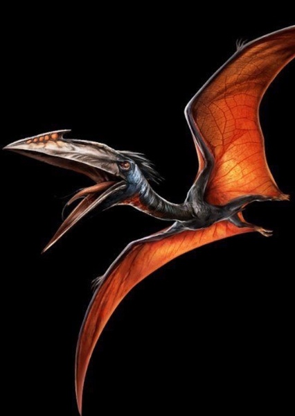 Quetzalcoatlus photo