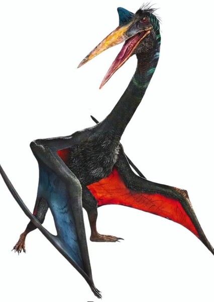 Quetzalcoatlus photo