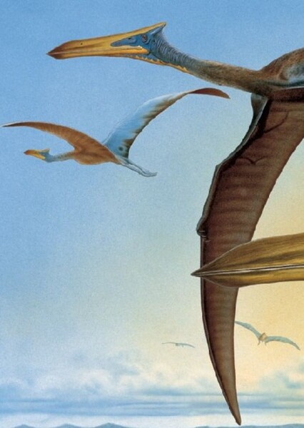Quetzalcoatlus photo