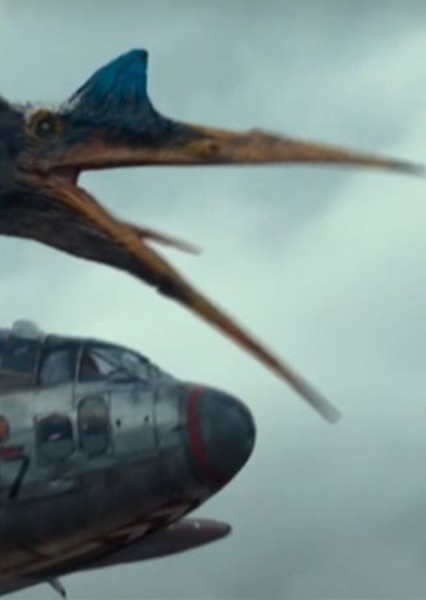 Quetzalcoatlus photo