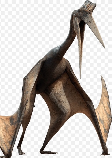 Quetzalcoatlus photo