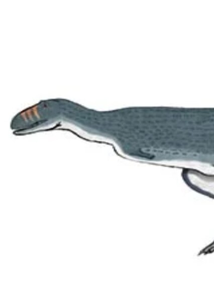 Quilmesaurus photo