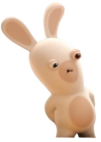 Rabbids photo